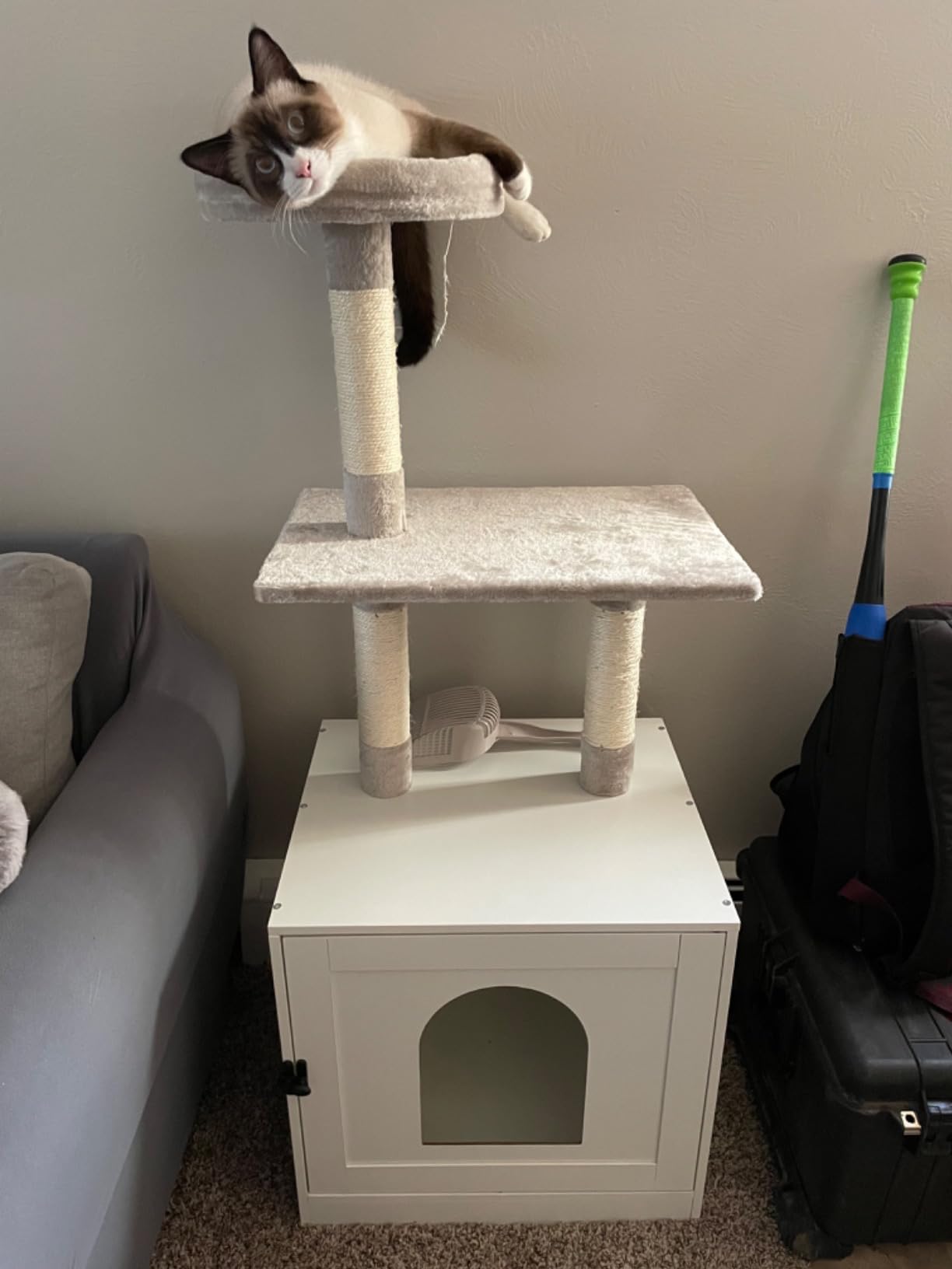 WT12MW03 Cat Litter Box with Cat Tree photo review