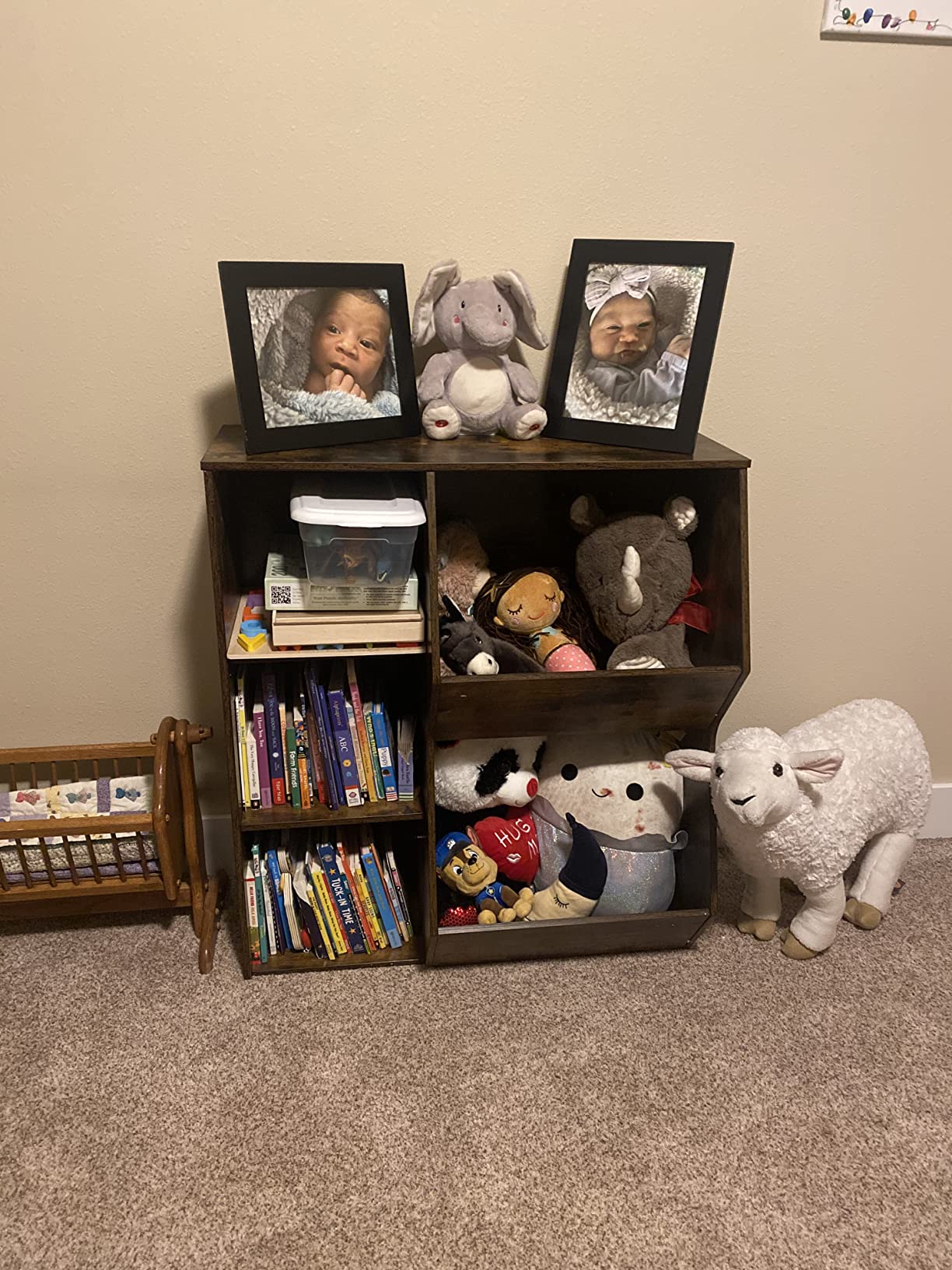 BF31CW01 Kid's Bookcase photo review